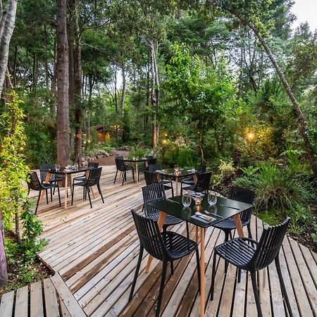 Rakau Lodge Pucon Luaran gambar