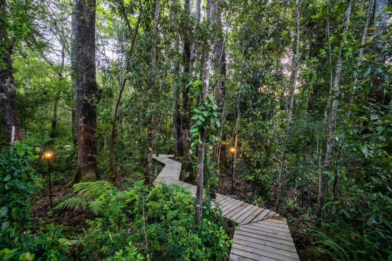 Rakau Lodge Pucon Luaran gambar